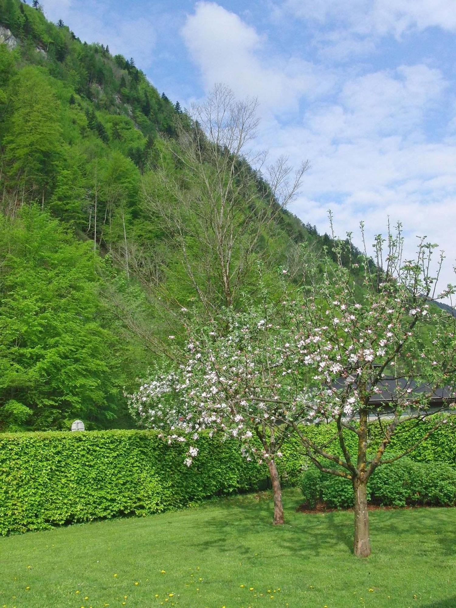 圣吉尔根斯霍夫旅馆公寓 外观 照片